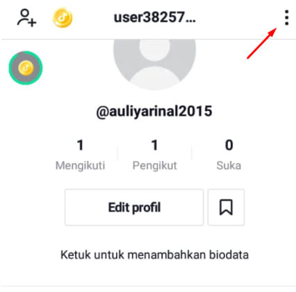 Mengapa Koin Di Tiktok Lite Tidak Berputar