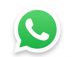 Cara Menghilangkan Status Online di WhatsApp Original