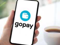 Cara Melihat Riwayat dan Status Transaksi di Gopay