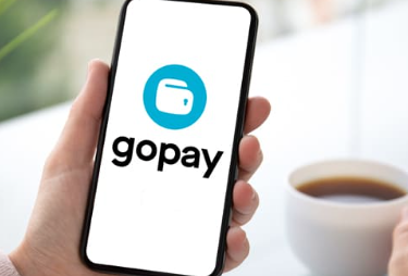 Pada artikel ini akan menjelaskan bagaimana cara melihat riwayat dan status transaksi di gopay. Caranya sangat mudah