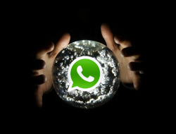 Cara Ganti Nomor Whatsapp tanpa Menghilangkan Kontak dan Chat