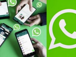 Cara Melihat Status Whatsapp Orang Lain Tanpa Ketahuan