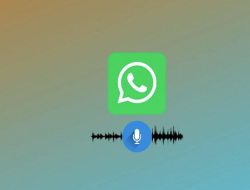 Cara Mendownload Voice Note di WhatsApp